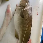 Дом отдыха Krokenes *