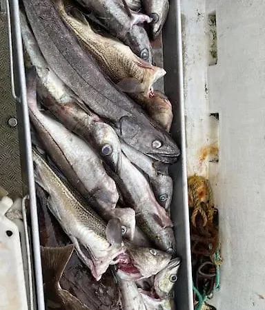 Krokenes *